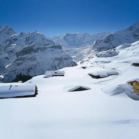 Apartamento Chilchboden By Interhome Grindelwald