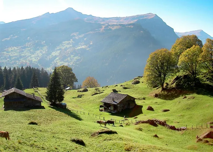 아파트 Chilchboden By Interhome